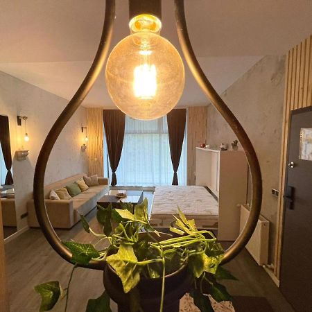 Mat Rent Poiana Brasov Leilighet Eksteriør bilde