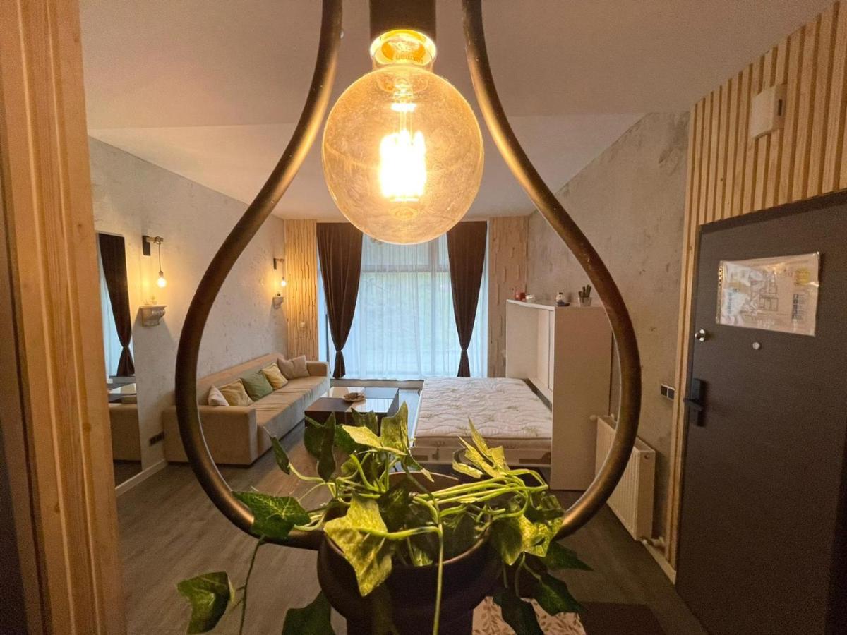 Mat Rent Poiana Brasov Leilighet Eksteriør bilde
